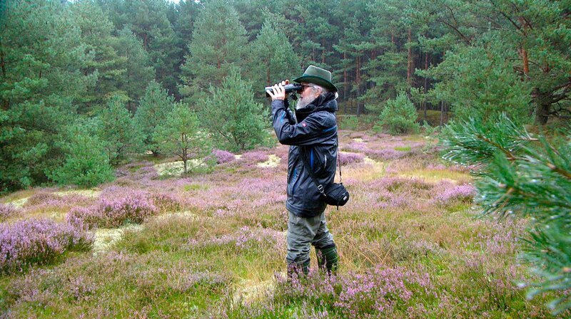 Viel Zeit verbringt Hans Jallas in mecklenburgischen Wäldern. – Bild: NDR/Hans Jalass Viel Zeit verbringt Hans Jallas in mecklenburgischen Wäldern. – Bild: NDR/Hans Jalass