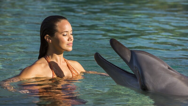Mimmi (Allie Bertram) hat entdeckt, dass eins der Delfin-Weibchen im Meerespark kurz vor der Geburt eines Delfinbabys steht. – Bild: ZDF