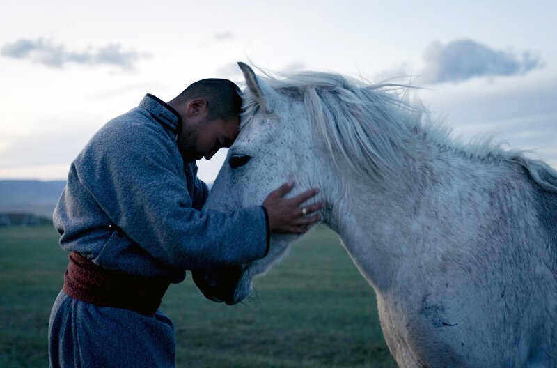 2019 gründete Naranbadrakh Batkhuu die Initiative „Horse Heaven“. Sein Ziel ist es, dass die mongolische Regierung das Töten von Pferden verbietet. – Bild: MedienKontor/​Dunja Engelbrecht