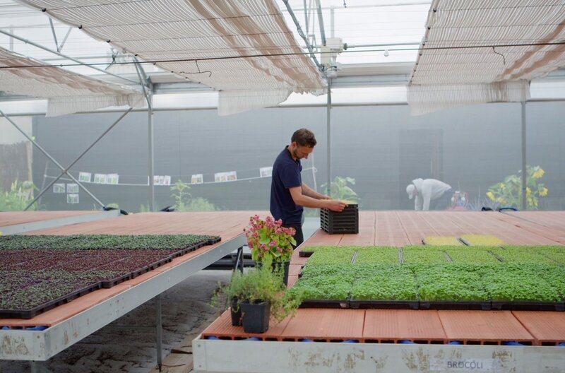 Die Landwirtschaft steht vor den größten Umwälzungen ihrer Geschichte. Wie ist es möglich, trotz wirtschaftlichen Drucks eine nachhaltige und gesunde Ernährung für alle Europäerinnen und Europäer sicherzustellen? – Bild: zero one
