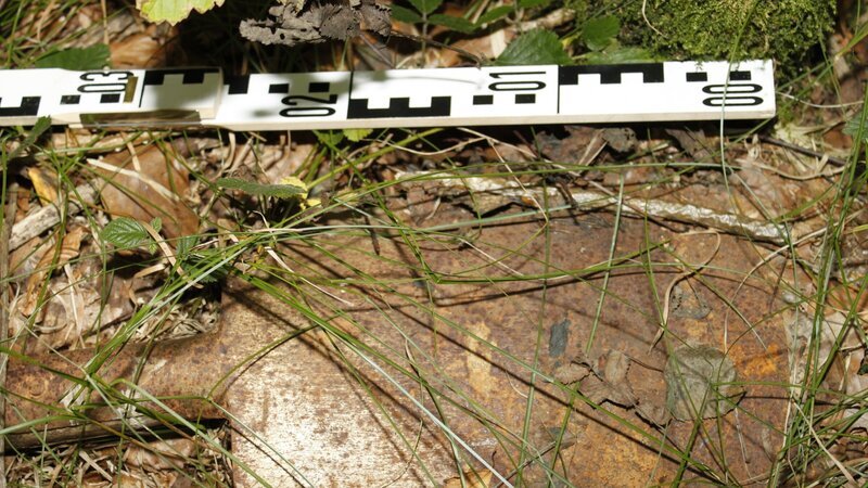 In der Nähe des Leichenfundortes finden die Ermittler einen Spaten. Zufall? Oder hat das Fundstück etwas mit der Tat zu tun? – Bild: ZDF In der Nähe des Leichenfundortes finden die Ermittler einen Spaten. Zufall? Oder hat das Fundstück etwas mit der Tat zu tun? – Bild: ZDF