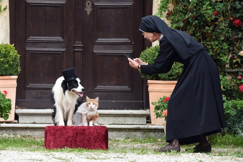 Schwester Felicitas (Karin Gregorek) macht ein Video von Herrn Hund und Katze Kitty. – Bild: ORF 2