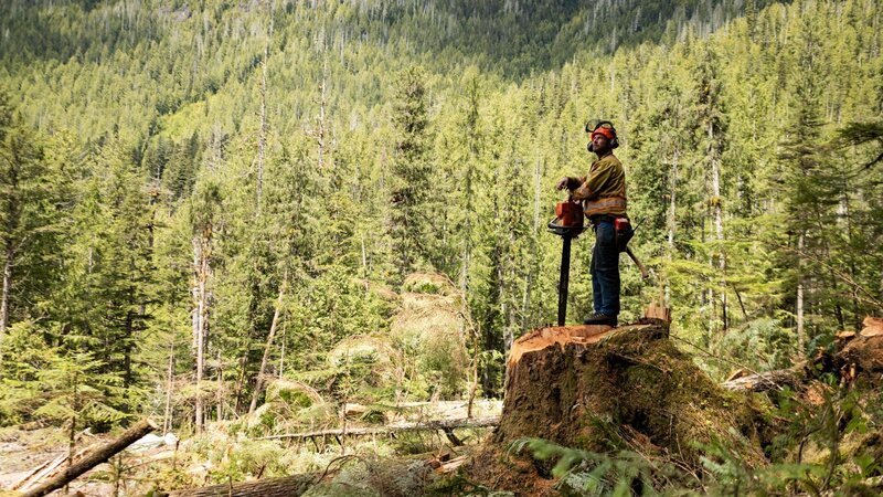 Hand Faller Chris Hersics poses atop the stump of a recent fall in the Pacific Northwest. – Bild: Warner Bros. Discovery