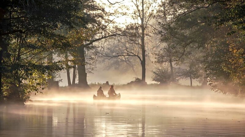 Der Spreewald im Morgennebel. – Bild: 3sat