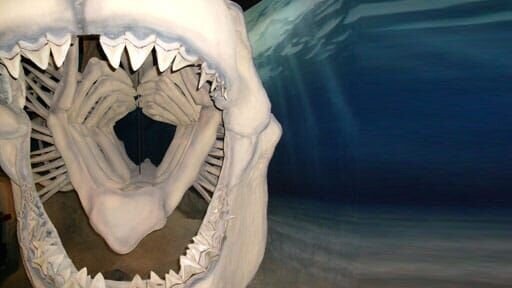 Aus National Geographic Channel’s Prehistoric Predators – CGI-Bild von Zähnen. – Bild: National Geogaphic Wild