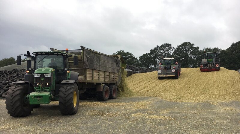 NDR Fernsehen DIE NORDREPORTAGE: MAISERNTE UNTER HOCHDRUCK, am Montag (11.11.19) um 18:15 Uhr. Der Mais wird in einer Silage gelagert und dort von Treckern verdichtet. © NDR/video:arthouse/Johann Ahrends, honorarfrei - Verwendung gemäß der AGB im engen inhaltlichen, redaktionellen Zusammenhang mit genannter NDR-Sendung bei Nennung "Bild: NDR/video:arthouse/Johann Ahrends" (S2). NDR Presse und Information/Fotoredaktion, Tel: 040/4156-2306 oder -2305, pressefoto@ndr.de – Bild: NDR/​video:arthouse/​Johann Ahrend /​ NDR Presse und Information