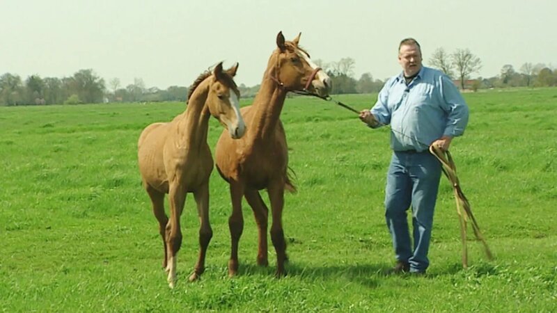 Tamme Hanken – Bild: NDR