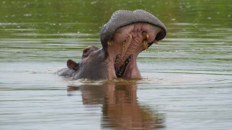 Bild: National Geographic