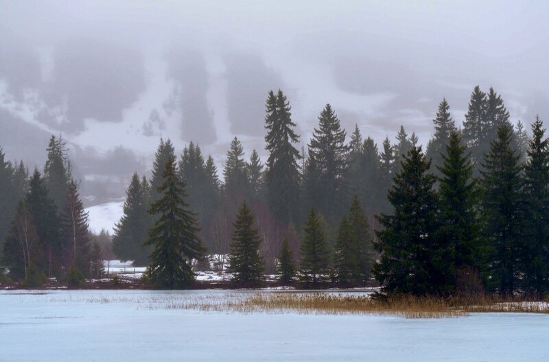 Im Winter verschmelzen die Seen des Juramassivs mit der Berglandschaft, ihre eisige Oberfläche ist dann ganz von Weiß bedeckt. – Bild: Elephant Doc
