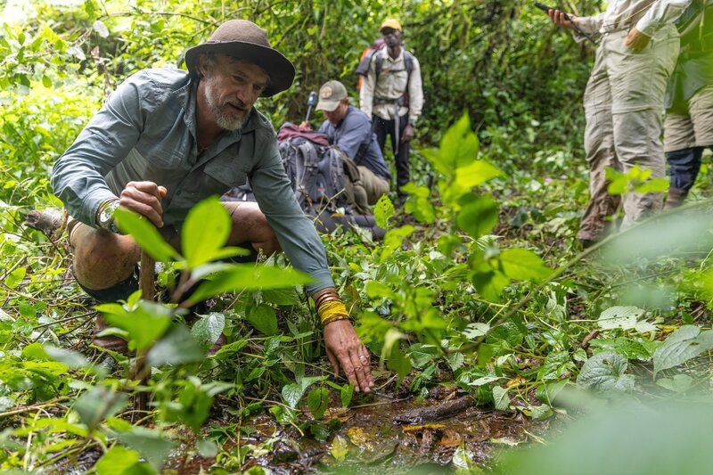Der National Geographic-Forscher Dr. Steve Boyes untersucht das Wasser an der Quelle im Nyungwe-Forest-Nationalpark in Ruanda. – Bild: National Geographic/​Millie Marsden