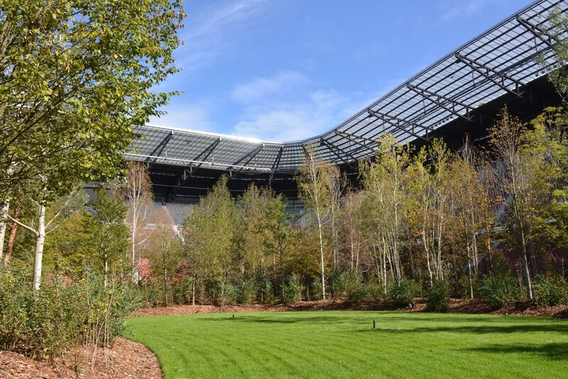 „For Forest“, der Wald im Wörthersee Stadion. – Bild: ORF 2