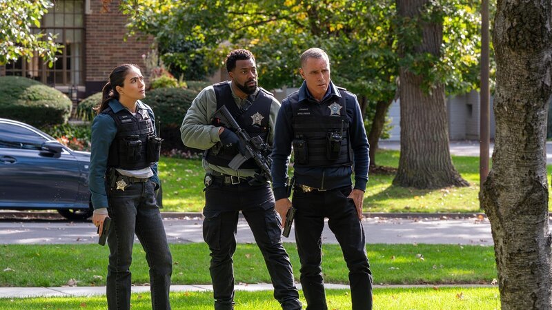 L-R: Kim Burgess (Marina Squerciati), Kevin Atwater (LaRoyce Hawkins), Hank Voight (Jason Beghe) – Bild: AXN Black