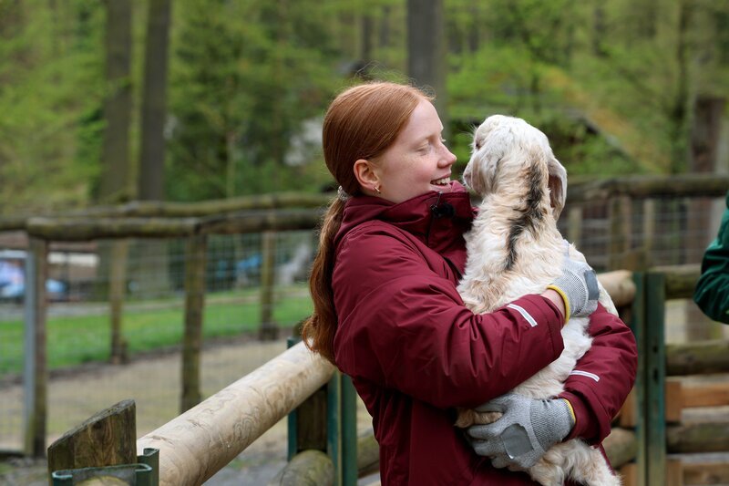 Im Tierpark Gera chippt Noemi die Ziegen. – Bild: MDR/​Cine Impuls Leipzig GmbH