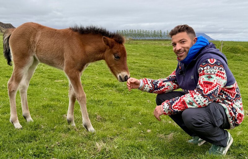 Auf einer Pferdefarm lernt Ramon die typischen Islandpferde kennen. Eine besonders robuste Pferderasse, und nebenbei auch die einzige, die es auf Island gibt. – Bild: SWR/​Bavaria Entertainment