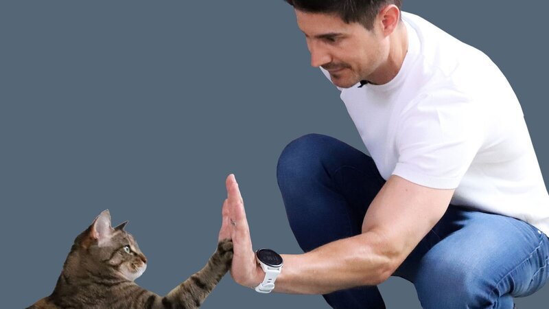 Einstein Moderator Tobbis Müller beim Trainieren mit einer Katze. – Bild: 3sat