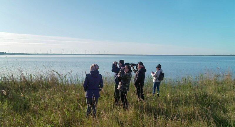 Vogelbeobachter am Cottbuser Ostsee. – Bild: rbb/​Guido Kilbert
