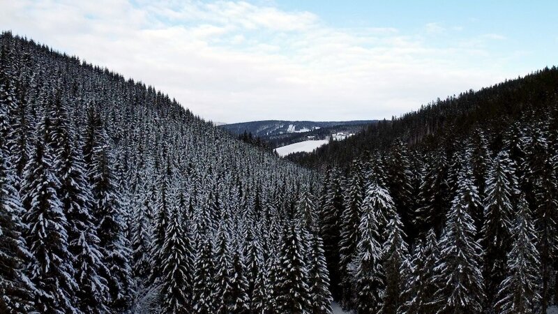 Seine „Waldheimat“ hat der Volksdichter Peter Rosegger in seinen Büchern unsterblich gemacht. Zu allen Jahreszeiten, aber vor allem im Winter, entfaltet diese Gegend in den Fischbacher Alpen ihren größten Charme. Gestalter Gebhard Hölzl zeigt, wie sich das Leben hier in den letzten ein, zwei Generationen verändert hat. Nach wie vor ist es hart und entbehrungsreich. Aber wer hier in der freien Natur seiner Arbeit nachgeht, wird mit den großen landschaftlichen Reizen belohnt. ORF III Heimat Österreich stellt in dieser Neuproduktion mehrere Menschen vor, die hier verwurzelt sind und die über das Heute und das Gestern sprechen. – Bild: ORF /​ Pammer Film