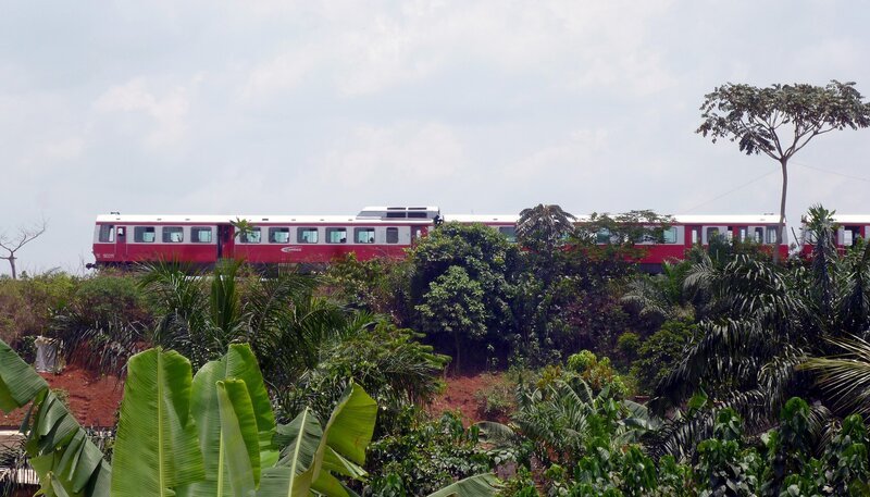 Kurz vor der Hauptstadt Yaoundé auf über 700 Metern. – Bild: SWR/​Alexander Schweitzer