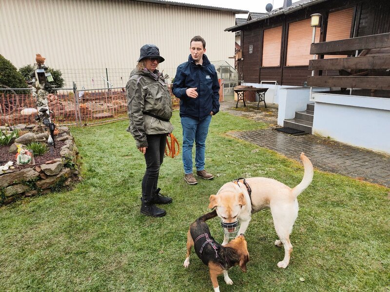 Corinna und Hundetrainer Marcel Wunderlich mit Beaglehündin Fine und Labradordame Fee. – Bild: RTL