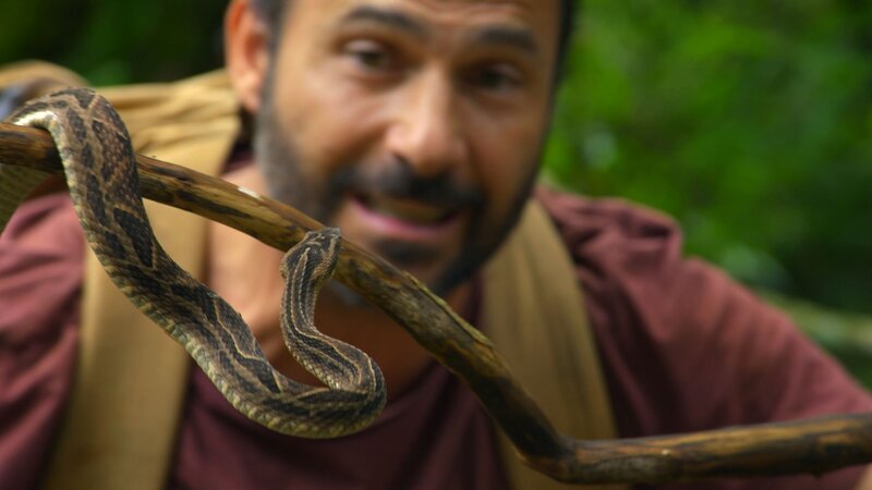 Hazen posiert mit einer Jararaca-Schlange (Bothrops Jaraca). – Bild: National Geographic/​Ossian Bacon /​ Courtesy of Disney+