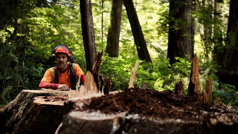 Hand Faller Rob Winger with the stump of his latest money tree. – Bild: Warner Bros. Discovery