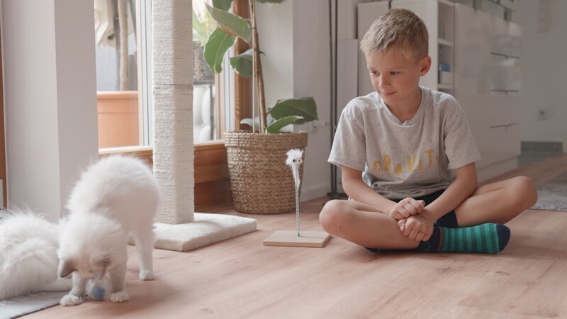 Für Mio (6 Jahre) ist ein Traum in Erfüllung gegangen. Er hat Katzenbabys bekommen und darf mit ihnen kuscheln und spielen. – Bild: ZDF