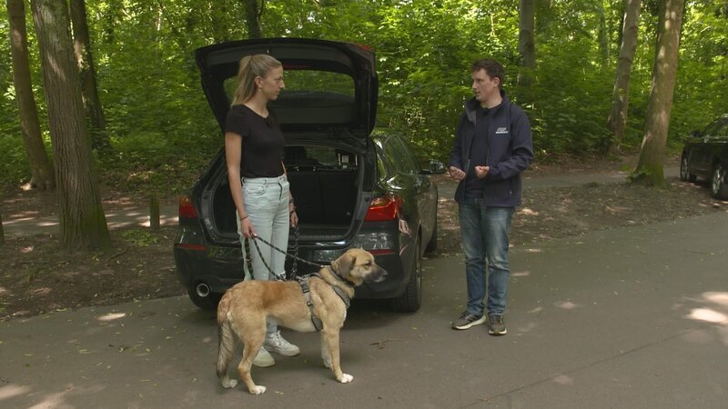 Phyllis mit Schäferhundmischling „Feri“ und Trainer Marcel Wunderlich – Bild: RTL /​ Mina TV