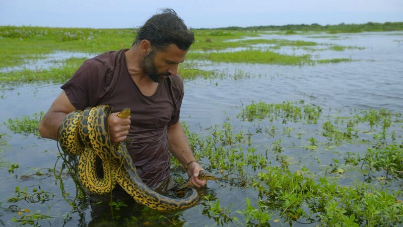 Hazen steht bis zur Hüfte im Wasser und hält eine Schlange (National Geographic/​Ossie Bacon) – Bild: Courtesy of Disney+