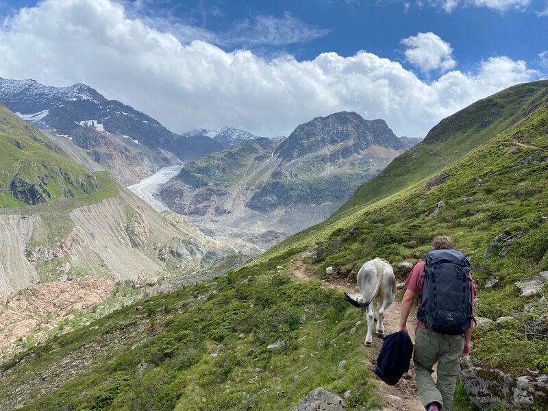 Dreh auf dem Weg zum Gletscher. – Bild: ORF/Kurt Reindl Dreh auf dem Weg zum Gletscher. – Bild: ORF/Kurt Reindl