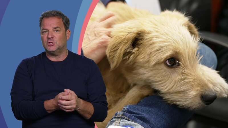 Bild: RTL