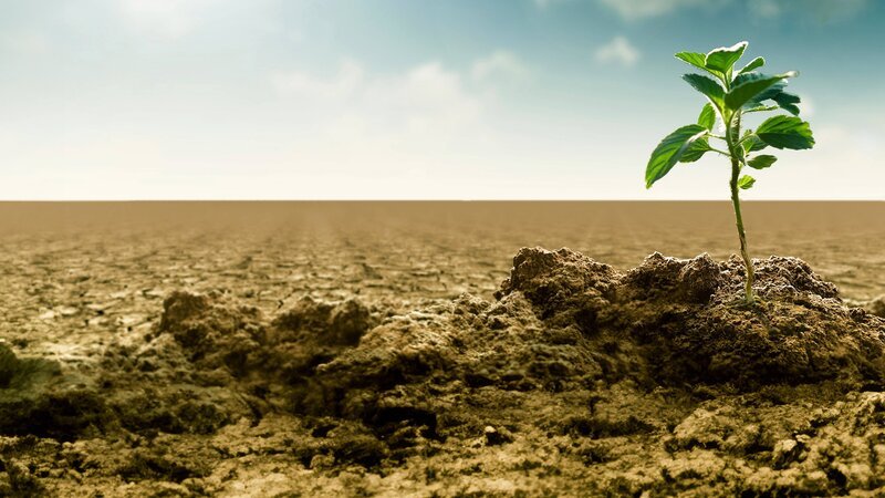 Die Dokumentation zeigt, wie Klimaschutz, wirtschaftliche Entwicklung und politische Interessen miteinander verwoben sind und warum die Antworten auf die Klimakrise so unterschiedlich ausfallen. Zur COP31 beleuchtet die ZDF-Dokumentation, welche Herausforderungen die Klimakrise in Äthiopien, Indien und Deutschland mit sich bringt. – Bild: ZDF und imago