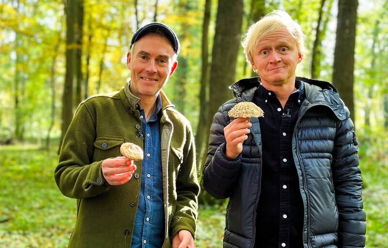 Comedian Johann König und Pierre M. Krause sammeln Pilze im Wald. Sie haben sich erneut getroffen und sammeln frisch gepflückten Content. – Bild: SWR