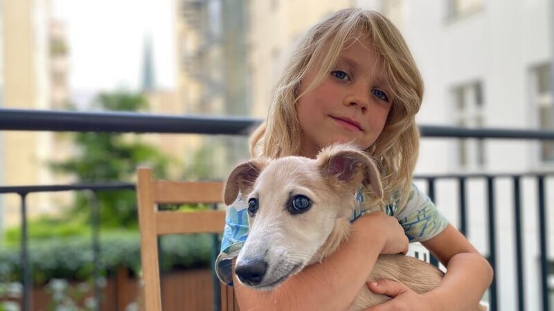 Junis (6) mit seiner Windhündin Olivia – Bild: rbb/​Iris Stark