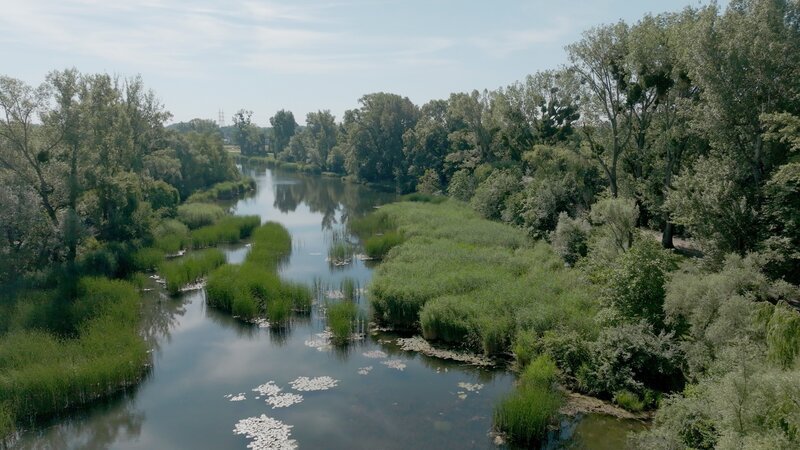 Donauauen. – Bild: ZDF und ORF/​Wega Film/​Martin Stoni