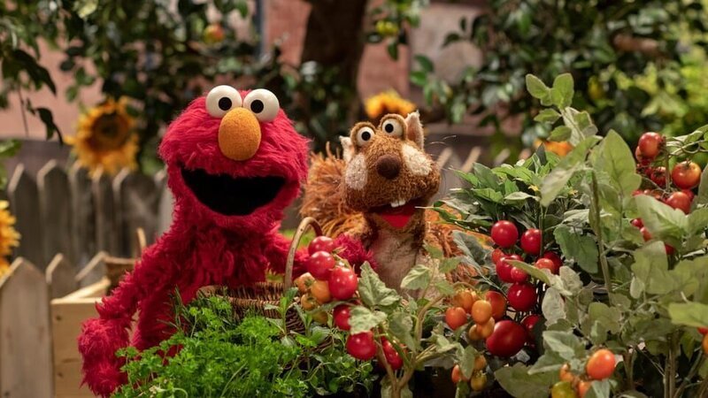 Elmo und Winnie begeben sich auf die Suche nach Zutaten für ein leckeres Essen. – Bild: NDR/​Sesame workshop/​Thorsten Jander