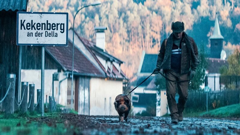 Lukas Watzl (Klaus) und Schwein Schnitzi. – Bild: ORF/​Allegro Film