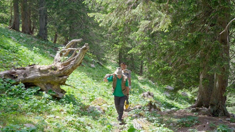 Wanderwegerweiterung in der Nähe der Bunnecker Hütte am Hochkar. – Bild: ORF/​Neulandfilm