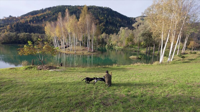 Förster Reinhard Bärnthaler trainiert seinen neuen Jagdhund am Gestüthofteich (Murau). – Bild: ORF/​embfilm