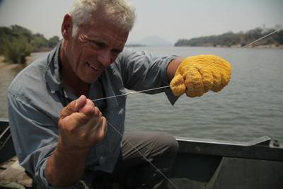 Fluss Monster S02e02 Der Susswasser Stechrochen Death Ray Fernsehserien De