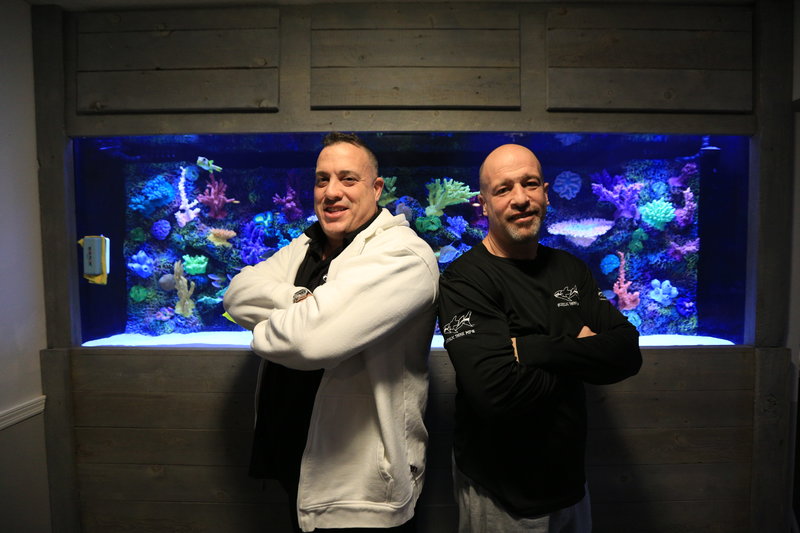 Die Aquarium-Profis bisher 2 Folgen (‚Härtefälle‘) Episodenguide ...