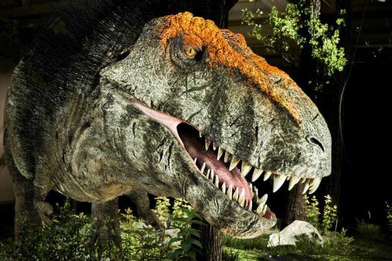 Auf den Spuren des T-Rex – wer war der „König“ der Dinosaurier wirklich? – Bild: ServusTV