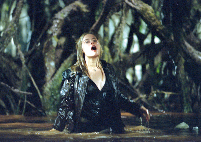 Man-Thing – Bild: Falcom Media Group AG Lizenzbild frei