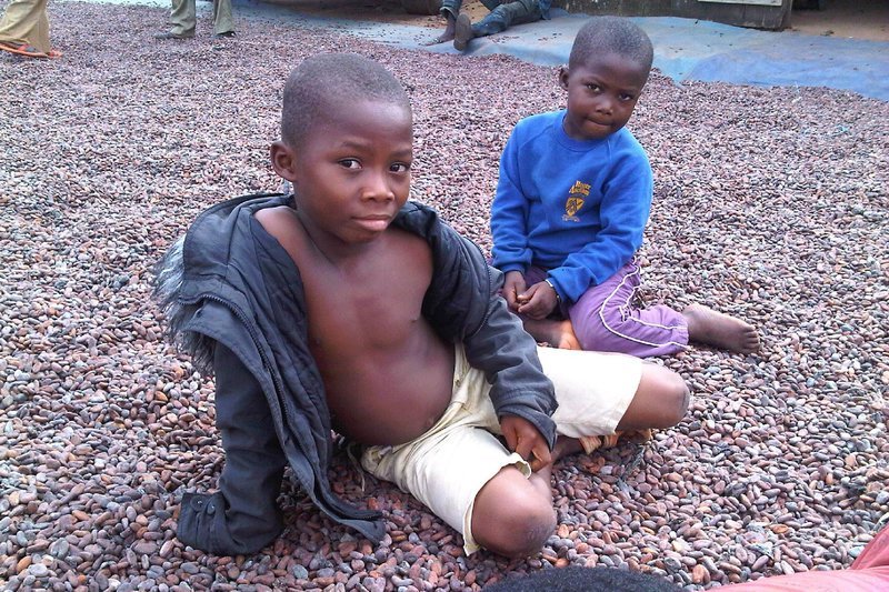 ARD/​NDR SCHMUTZIGE SCHOKOLADE 2, am Montag (17.12.12) um 22:45 Uhr im ERSTEN.
Kakaoernte, Elfenbeinküste – Bild: ZDF und NDR/​U. Roberto Romano