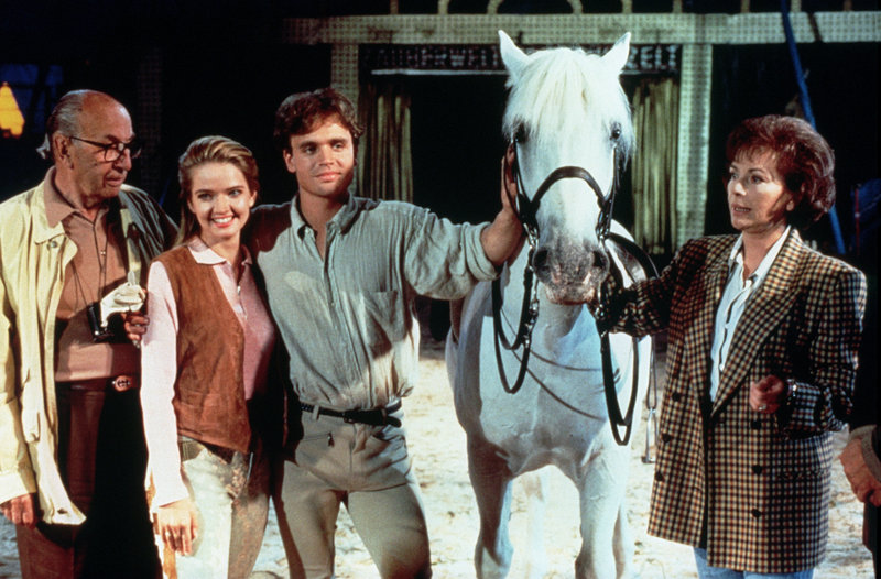 Mein Freund, der Lipizzaner – Bild: ORF