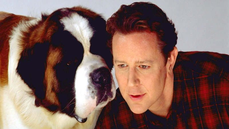 Beethoven III - Ein Urlaub mit Hindernissen – Bild: RTL Zwei