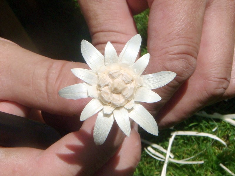 Geschnitztes Edelweiss. – Bild: ORF Geschnitztes Edelweiss. – Bild: ORF