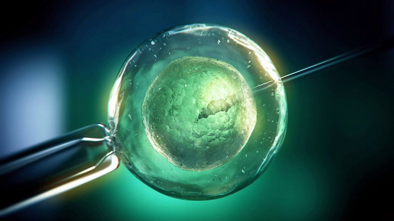 Im Jahre 1962 gelang es dem Biologen John Gurdon einen Frosch zu klonen – ein bahnbrechendes Experiment. Biologen gehen nun davon aus, dass Schlüsselproteine im Ei die jeweilige DNA-Anordnung aufwickeln und in den ursprünglichen Zustand einer embryonalen Stammzelle zurückführen. (Animation) – Bild: N24 Doku