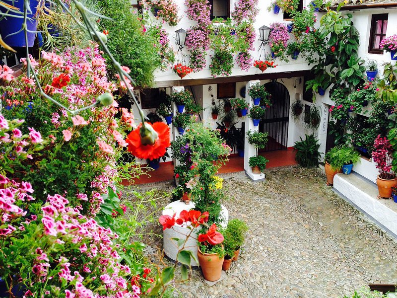 Mit viel Liebe pflegen die Einwohner von Cordoba ihre Patios. – Bild: ZDF und Hilde Buder-Monath Mit viel Liebe pflegen die Einwohner von Cordoba ihre Patios. – Bild: ZDF und Hilde Buder-Monath