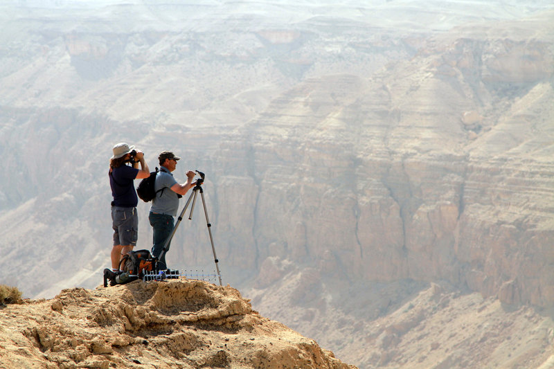 Das Geheimnis der Zugvögel – Bild: ORF