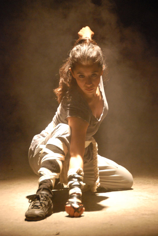 Ninja Apocalypse – Bild: Tele 5